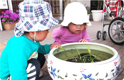 動植物に親しむ